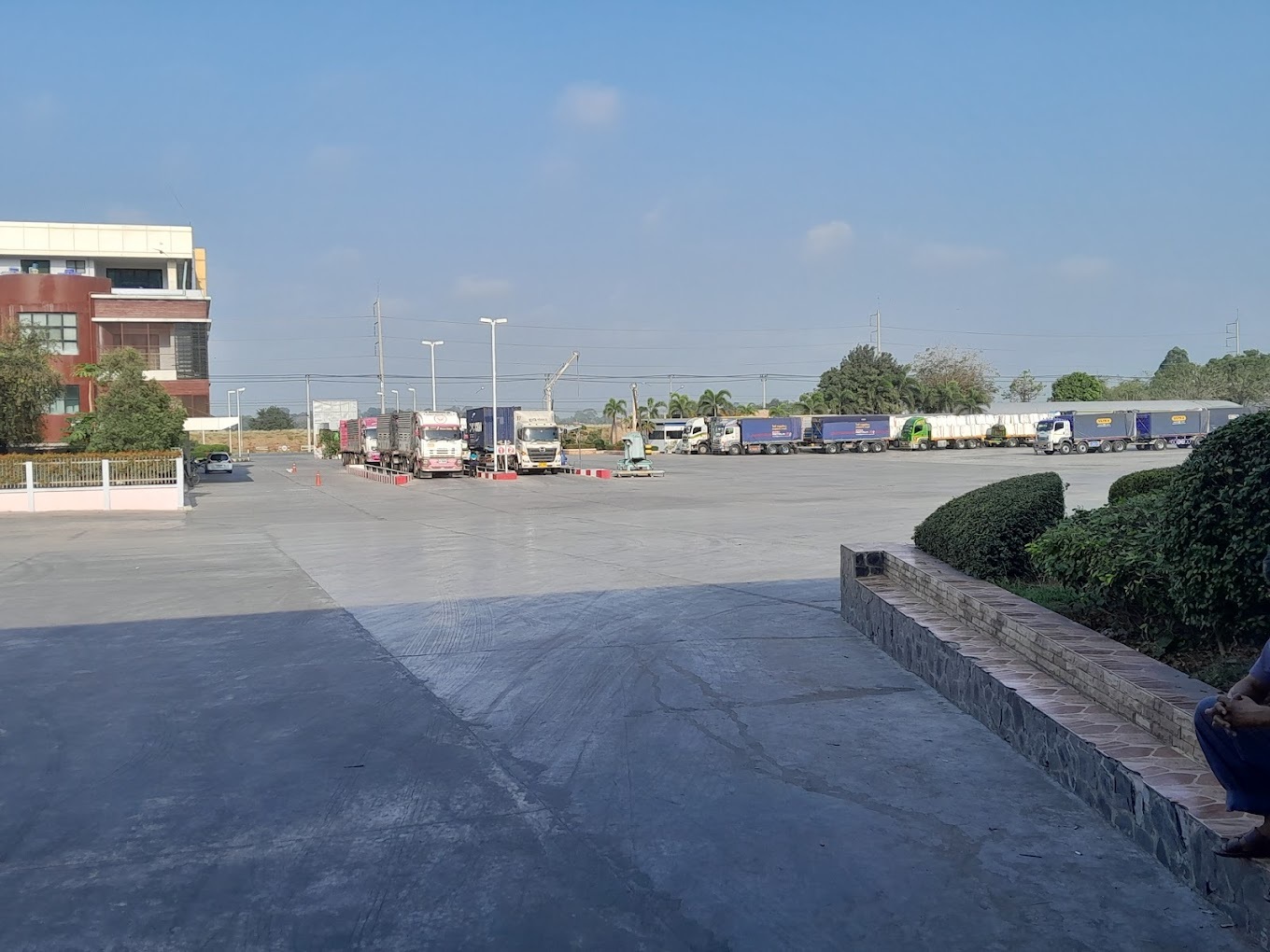 <span style="font-weight: bold;">Wide Choice</span><br>